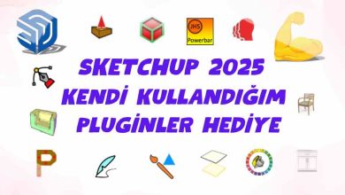 Sketchup 2025 Plugin